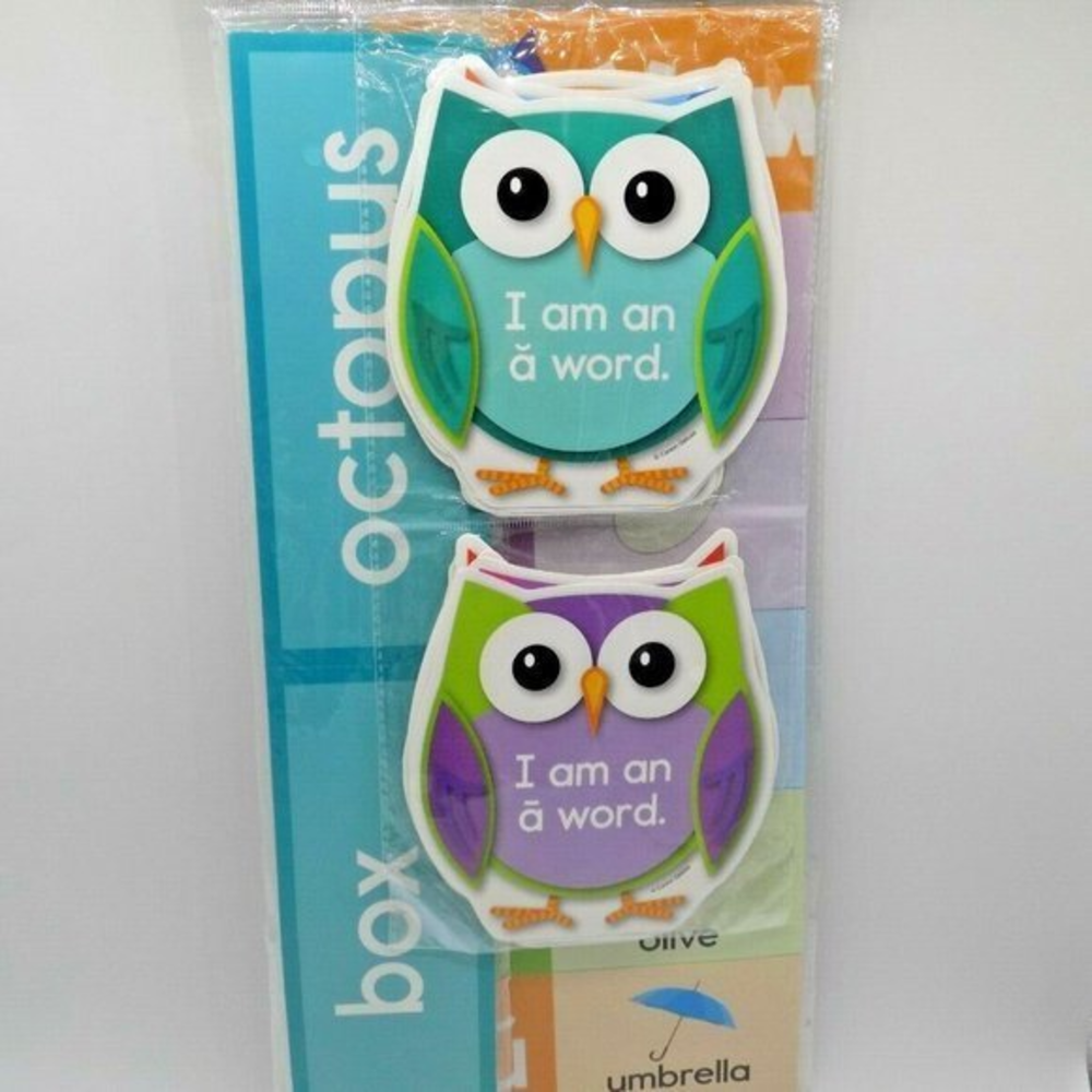 Carson Dellosa Vowels Bulletin Board Set 69pc Language Arts CD-149021 Owls